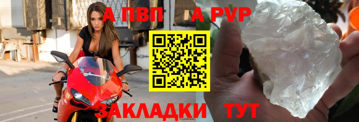 A PVP СК Новоалтайск