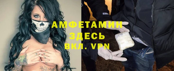 сатива Медногорск
