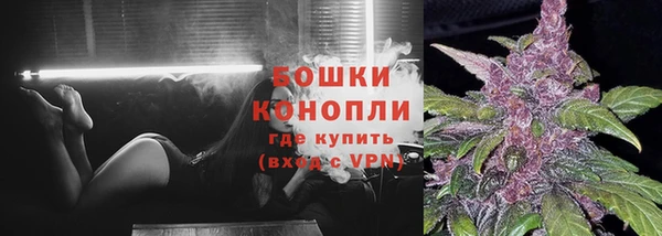 спиды Михайлов
