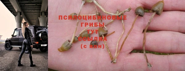 прущий лед Михайловка