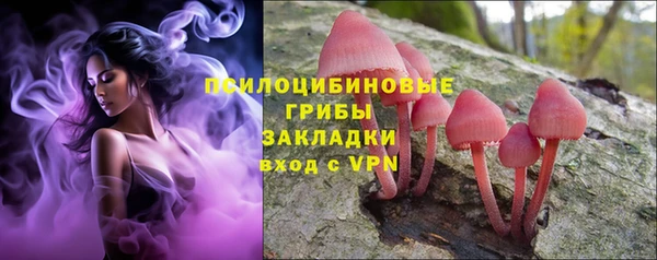 мдпв Медвежьегорск