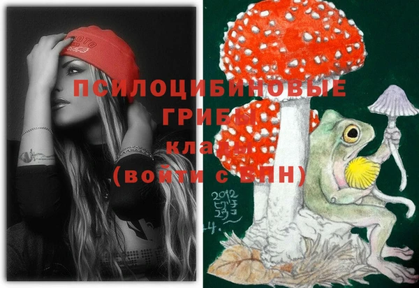 первитин Мегион