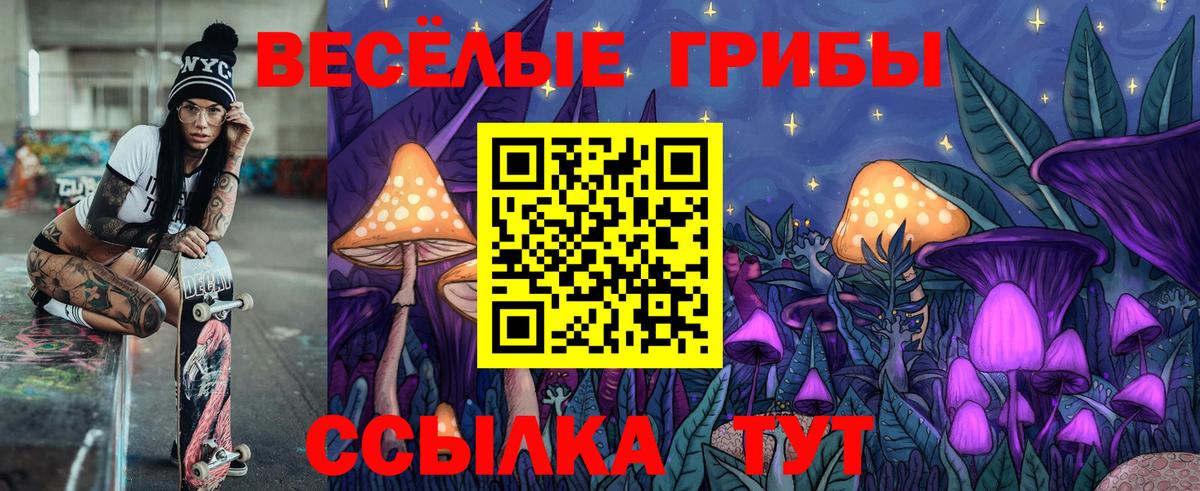 Псилоцибиновые грибы MAGIC MUSHROOMS Новоалтайск