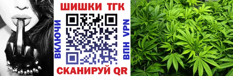 Бошки марихуана OG Kush  купить  цена  Новоалтайск 
